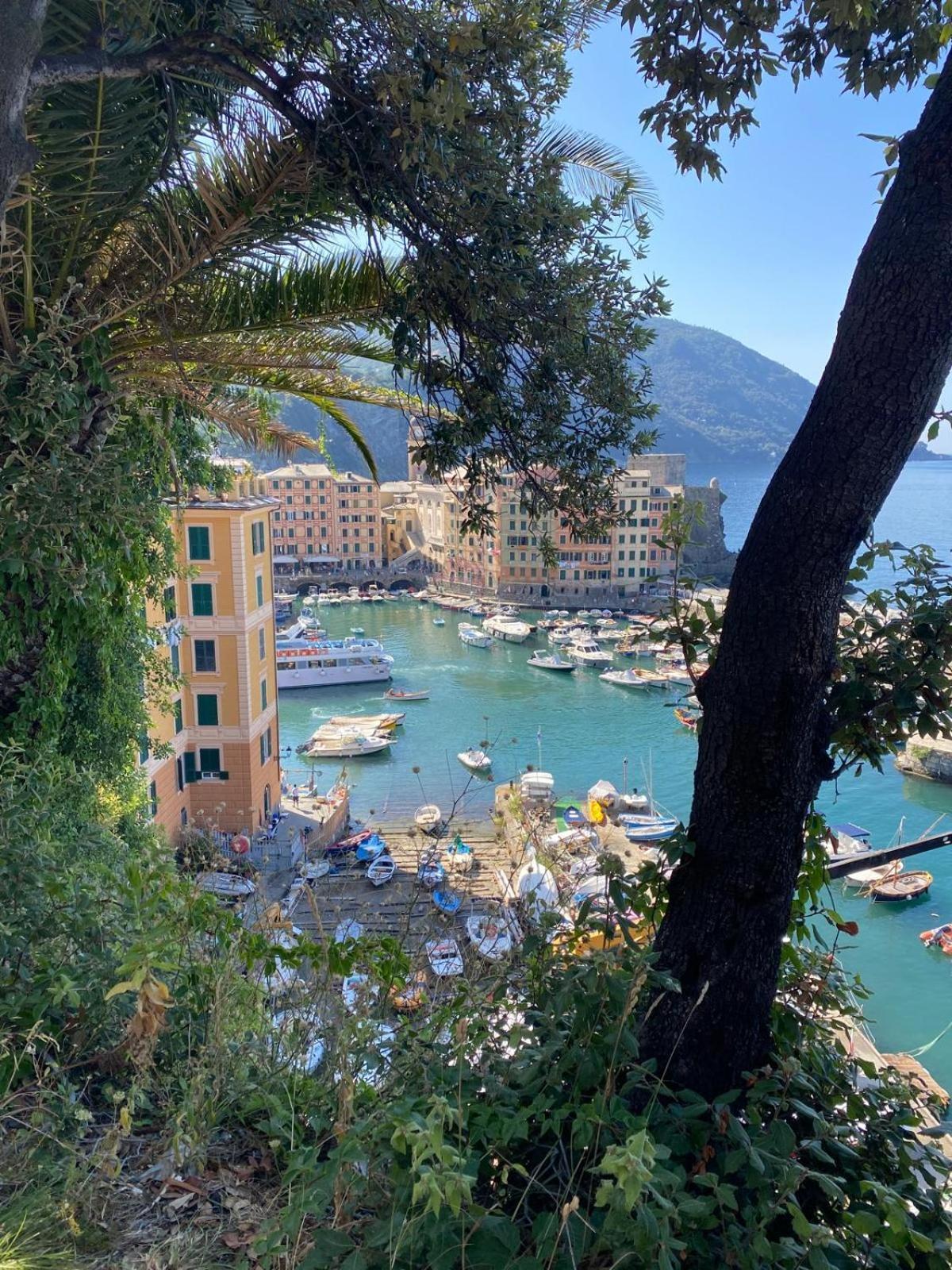 Casetta Del Marinaio Camogli Eksteriør billede