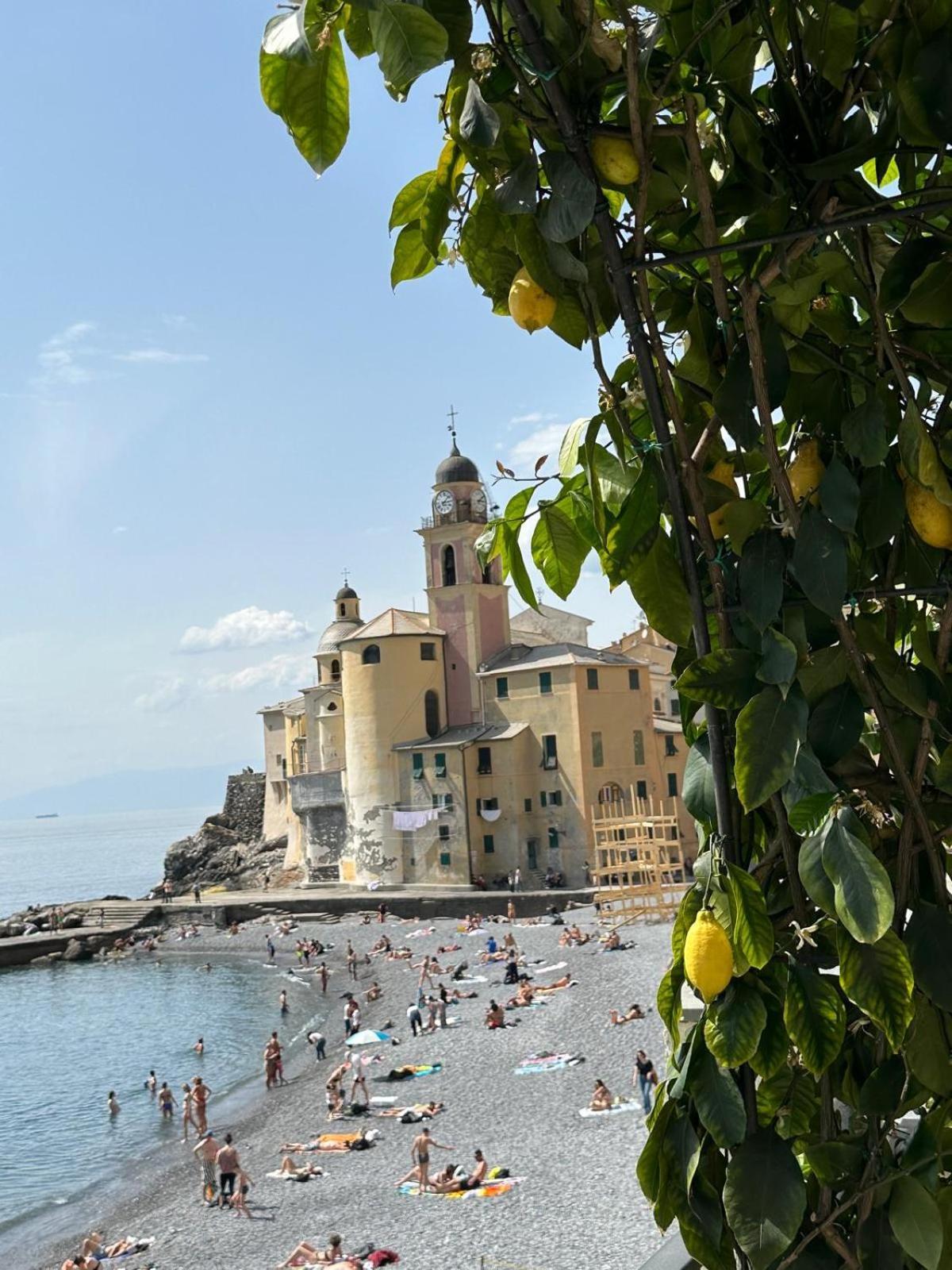 Casetta Del Marinaio Camogli Eksteriør billede
