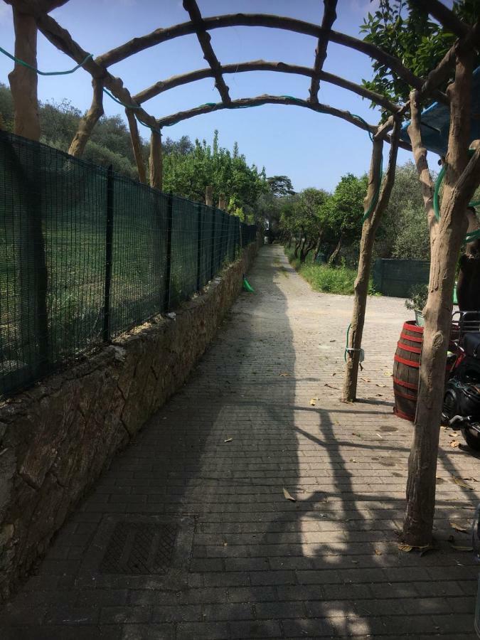 Casetta Del Marinaio Camogli Eksteriør billede