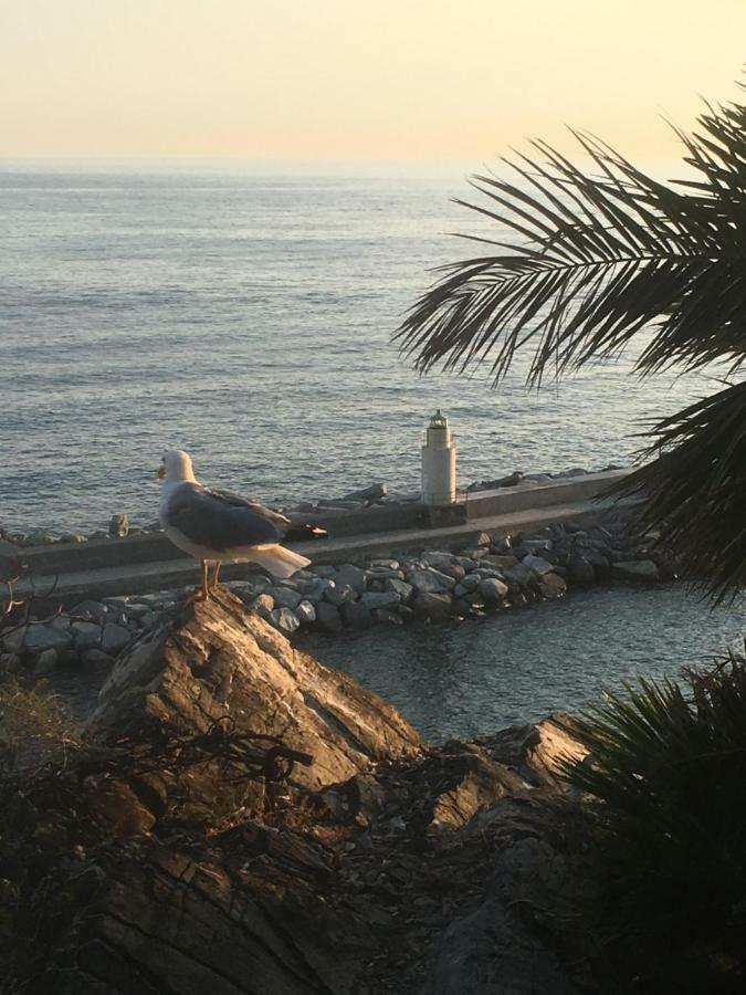Casetta Del Marinaio Camogli Eksteriør billede