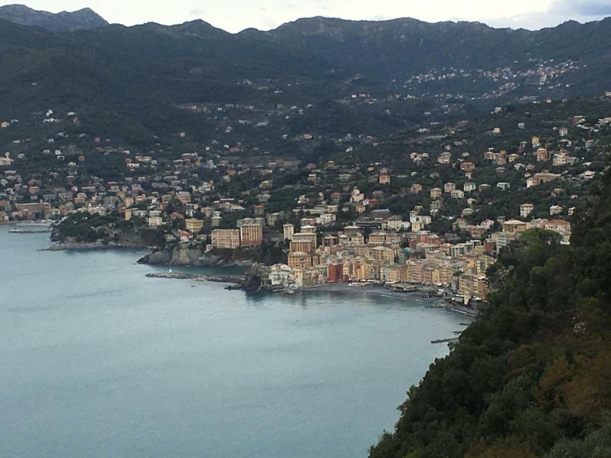 Casetta Del Marinaio Camogli Eksteriør billede
